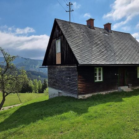 Zankl Villa Lavamünd Kültér fotó