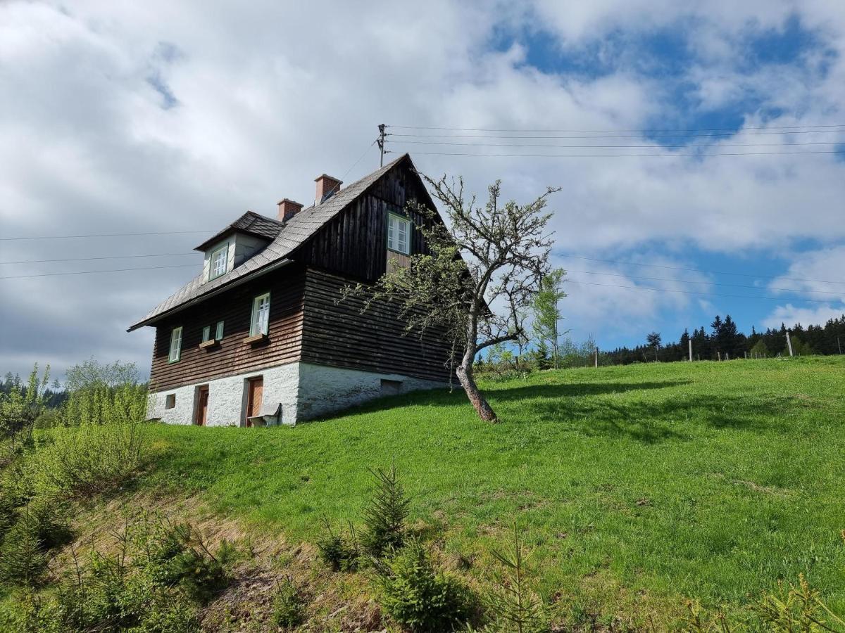 Zankl Villa Lavamünd Kültér fotó