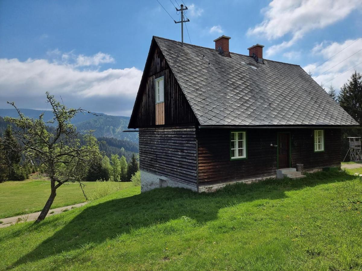 Zankl Villa Lavamünd Kültér fotó