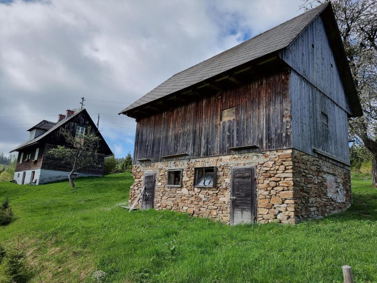 Zankl Villa Lavamünd Kültér fotó